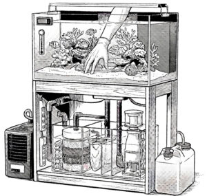 水槽のイメージと手を入れている感じを出す説明絵
