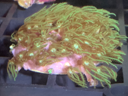 メンテナンスの様子